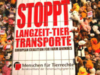 Foto: Eindrucksvolle Aktion des Bundesverbandes Menschen f&uuml;r Tierrechte und anderen Organisationen aus Europa, gegen qualvolle Tiertransporte vor dem EU-Parlament in Br&uuml;ssel!