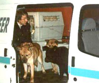Foto: Gerhard Schwarz bewies gro&szlig;en Mut und noch mehr Hzer, indem er sich w&auml;hrend der Fahrt zwischen die anfangs aggressiven Hunde setze