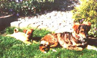 Foto: Gl&uuml;ckliche Zeiten brechen an f&uuml;r Chiko und Flocky