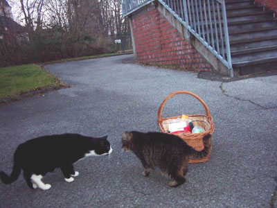 Foto: Timmy und Oschi kommen zur Begr&uuml;&szlig;ung an den Parkeingang zu Trudi