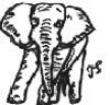 Bild: Elefant - Trudi Straeten