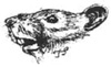 Bild: Ratte - Trudi Straeten