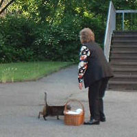 Foto: Trudi in Aktion - schon am Eingang des Abteiparks wird sie freudig von Wildlingen begr&uuml;&szlig;t. Aufgenommen im Juni 2004